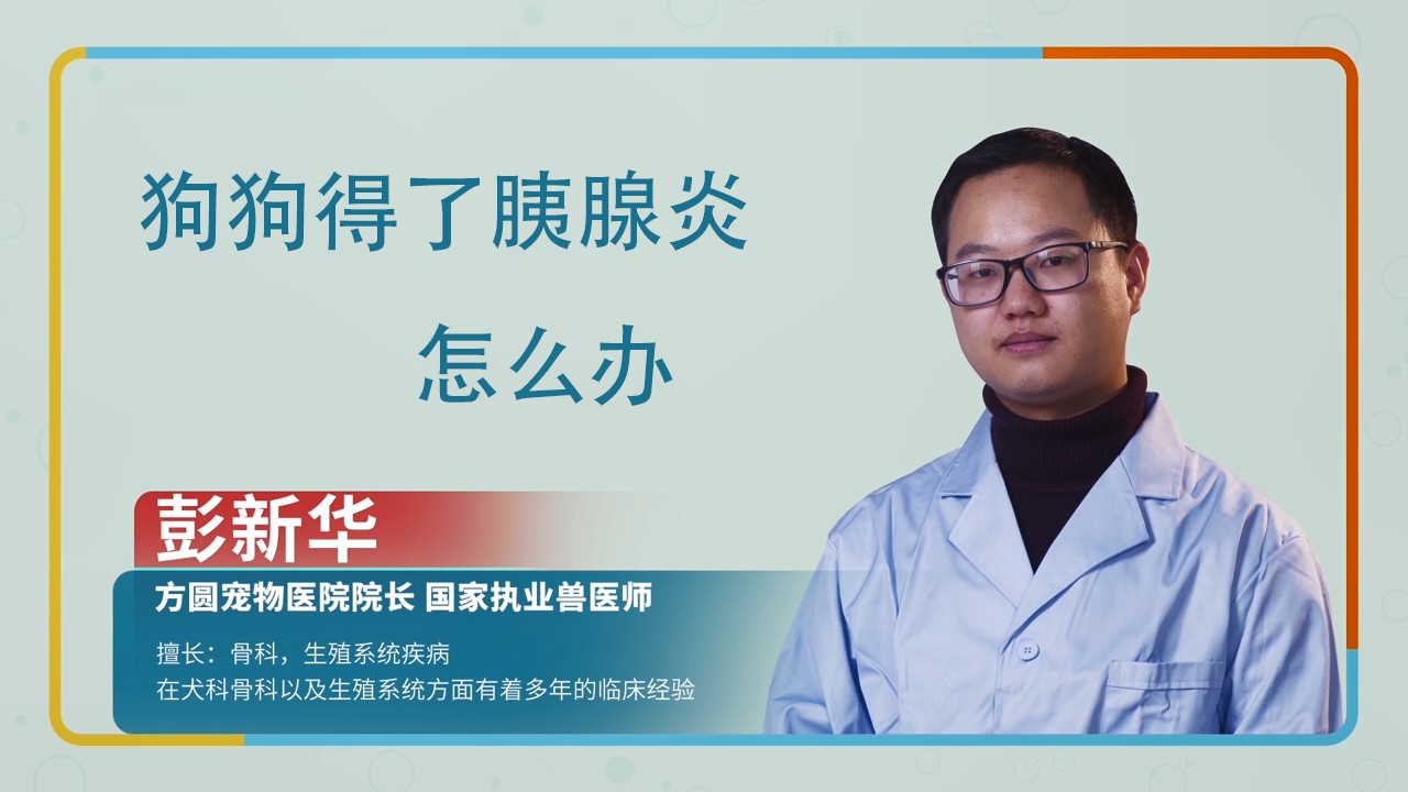 狗狗胰腺炎怎么治疗最好的方法 狗狗胰腺炎怎么办