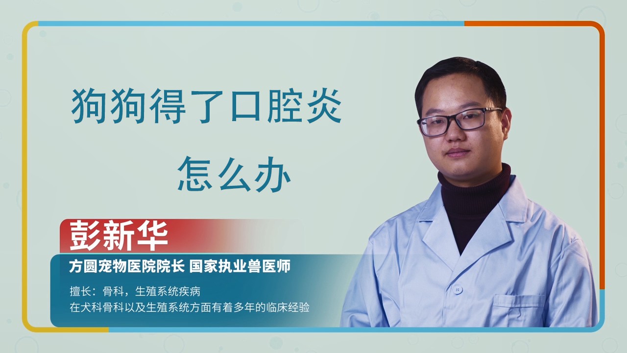 狗狗口腔炎的症状有哪些吃什么药治疗