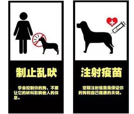 郴州办养犬证 郴州养狗要办狗证吗