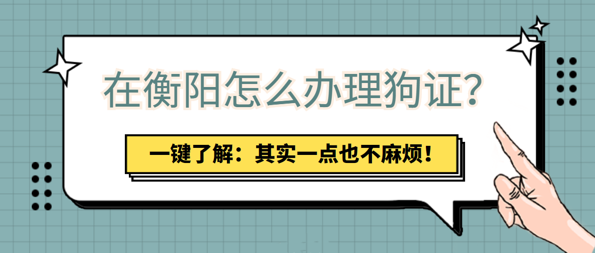 在衡阳怎么办理狗证？其实一点也不麻烦！