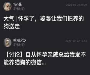 因为备孕，父母不让我养狗了，说再养狗家会散...