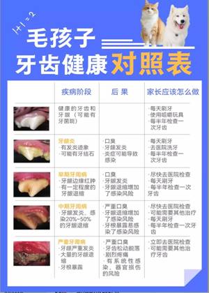 毛孩子皮肤溃烂、骨折，竟是铲屎官没做这件事...