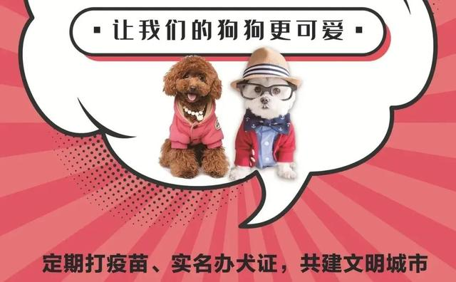 @黄石的铲屎官们，请接力，做文明养犬人！