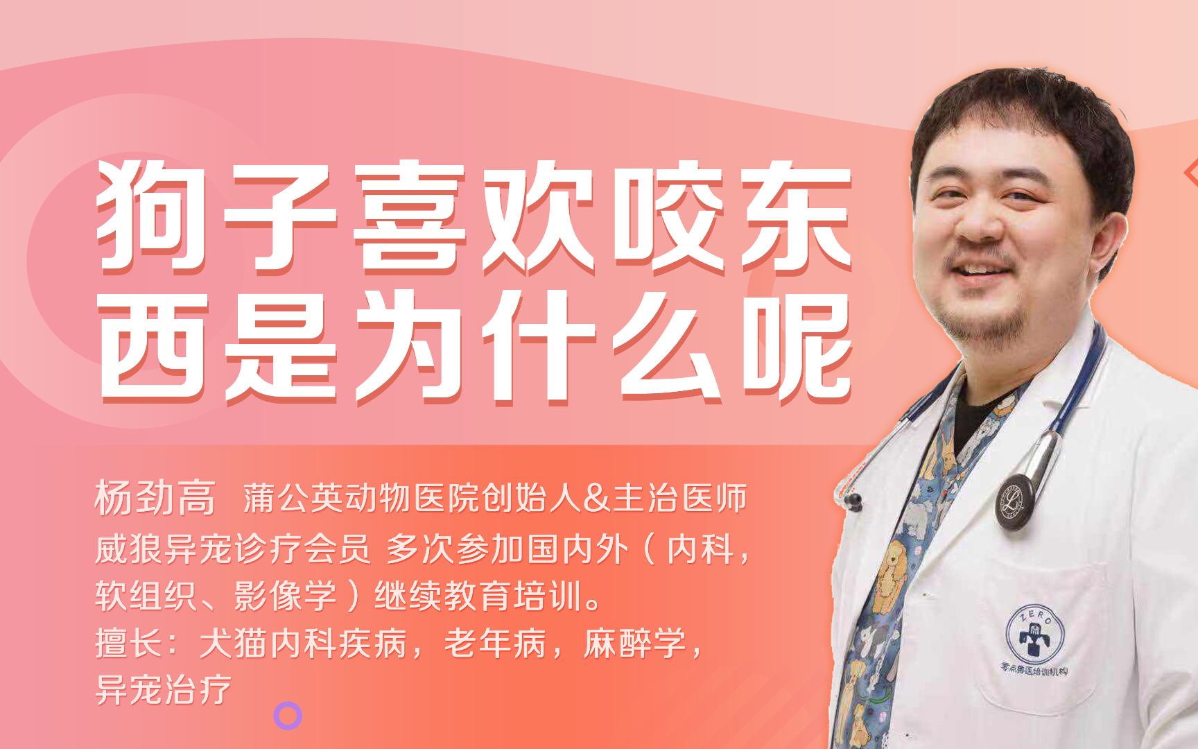 狗子喜欢咬东西是为什么 狗子喜欢咬东西怎么回事