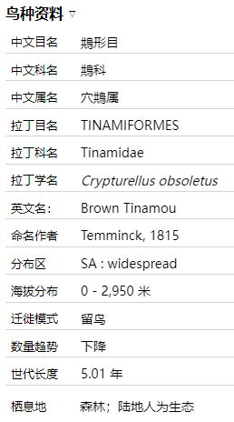 褐穴䳍介绍及图片 褐穴䳍是什么鸟